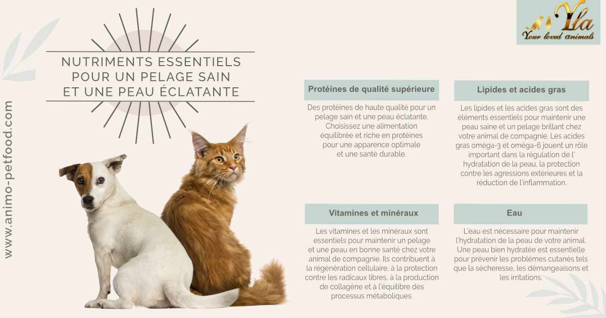  les nutriments essentiels pour le soin de la peau et du pelage des chiens et des chats.